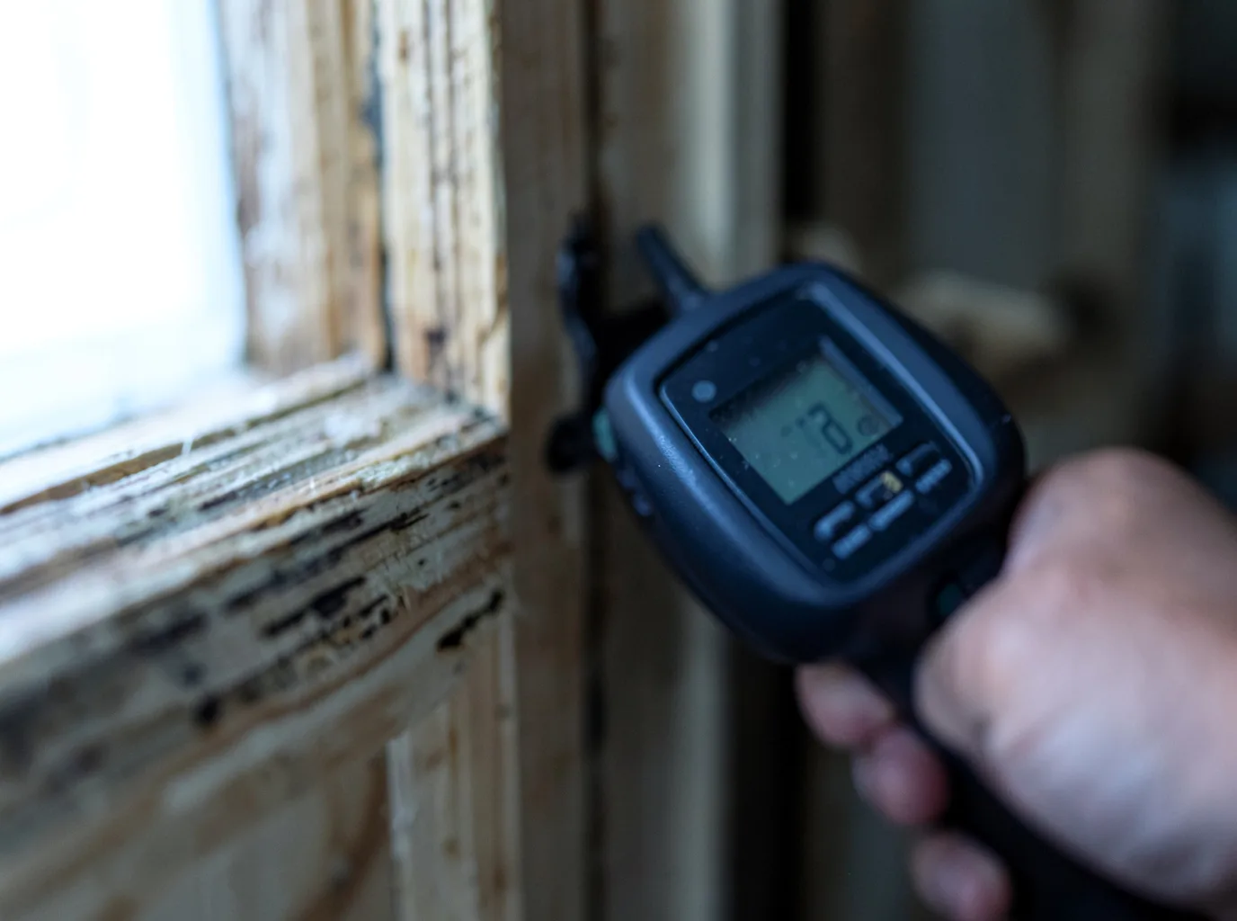 Moisture Inspection And Documentation in Millville, MA